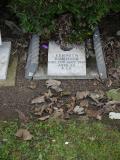image of grave number 267887